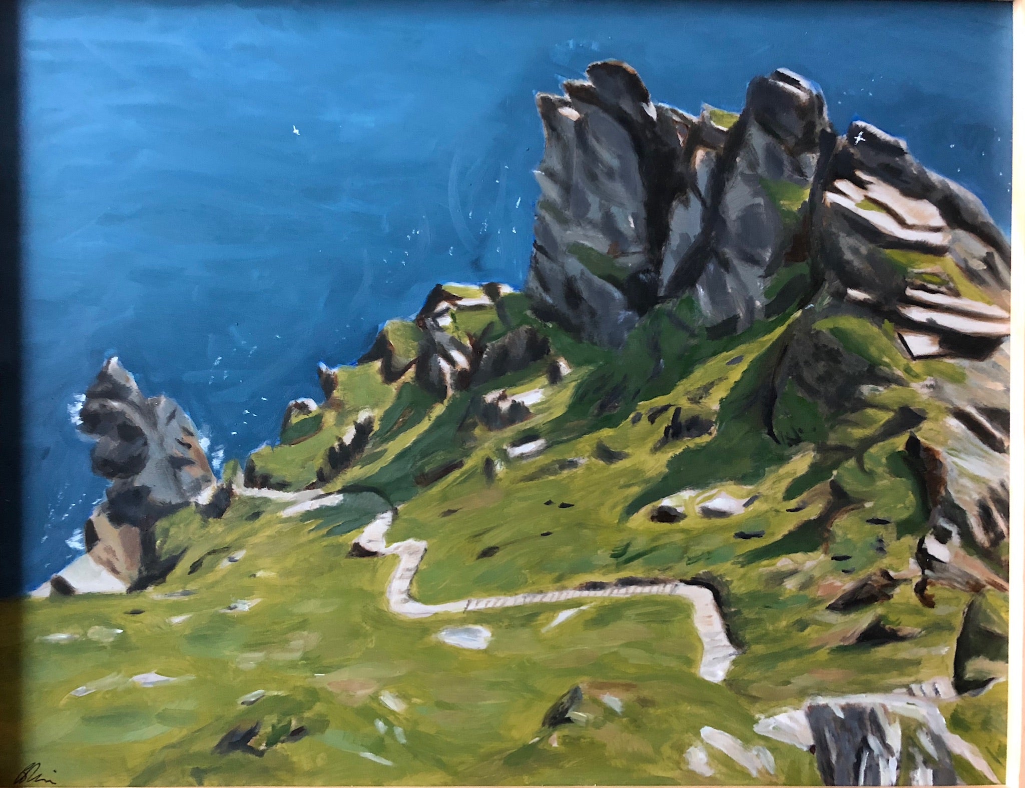 Skellig Michael from Above