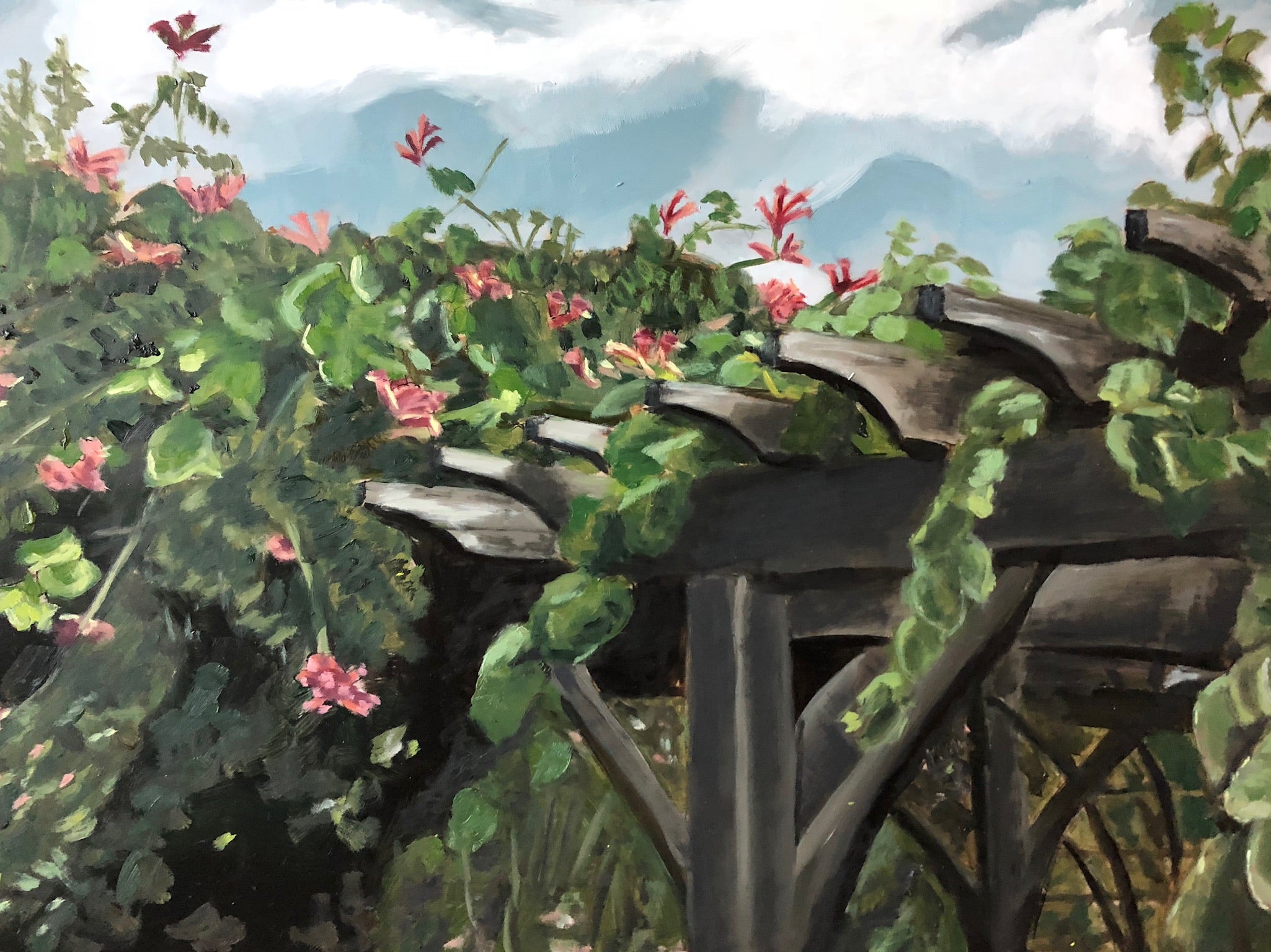 Pergola and grapevines
