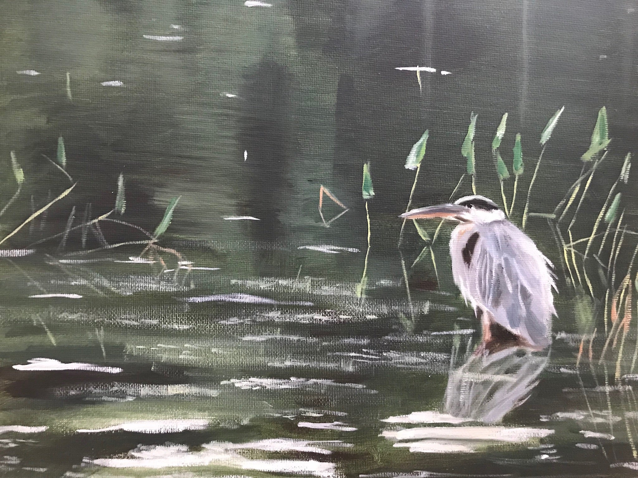 Heron in the Reeds