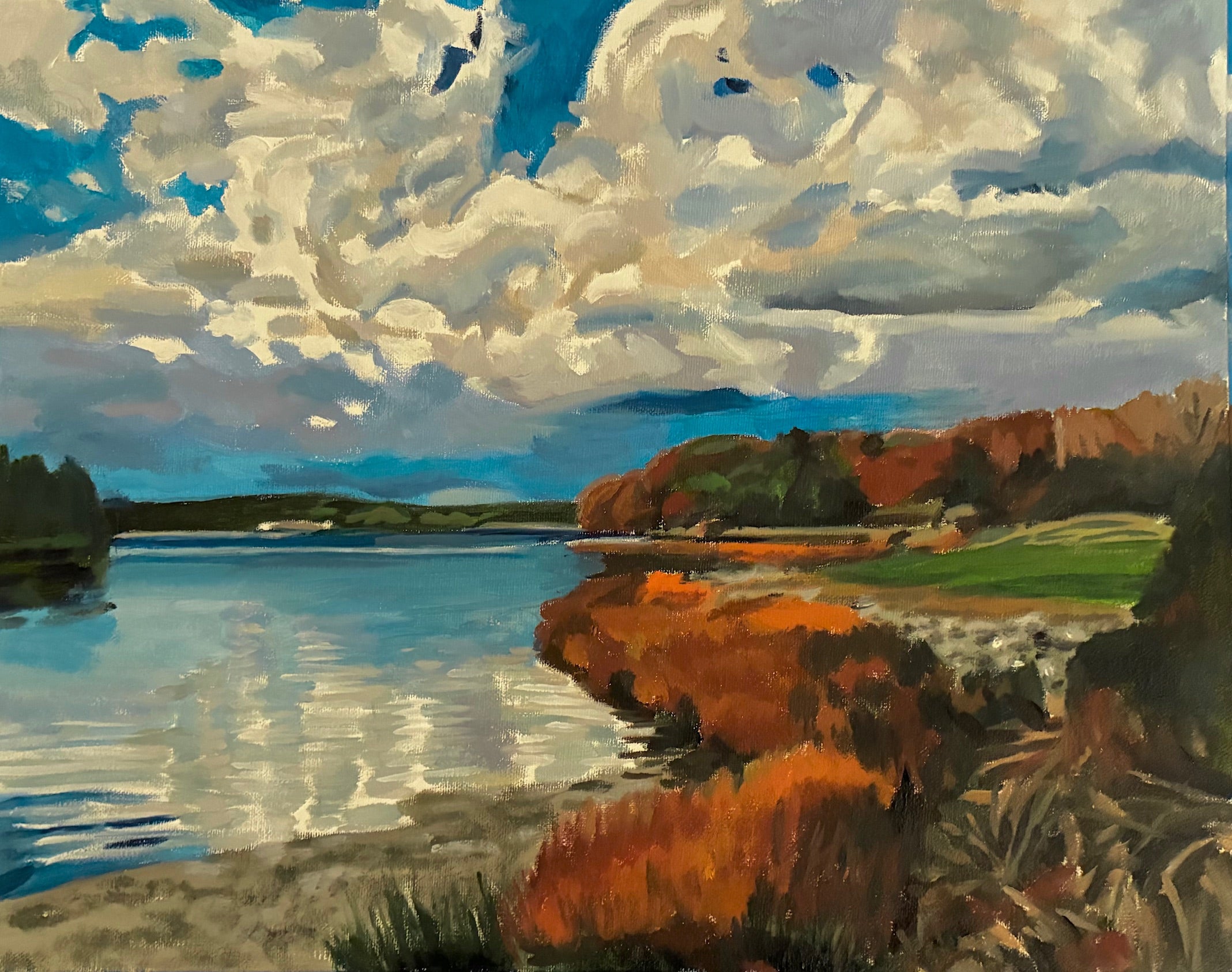 Clark Island Preserve