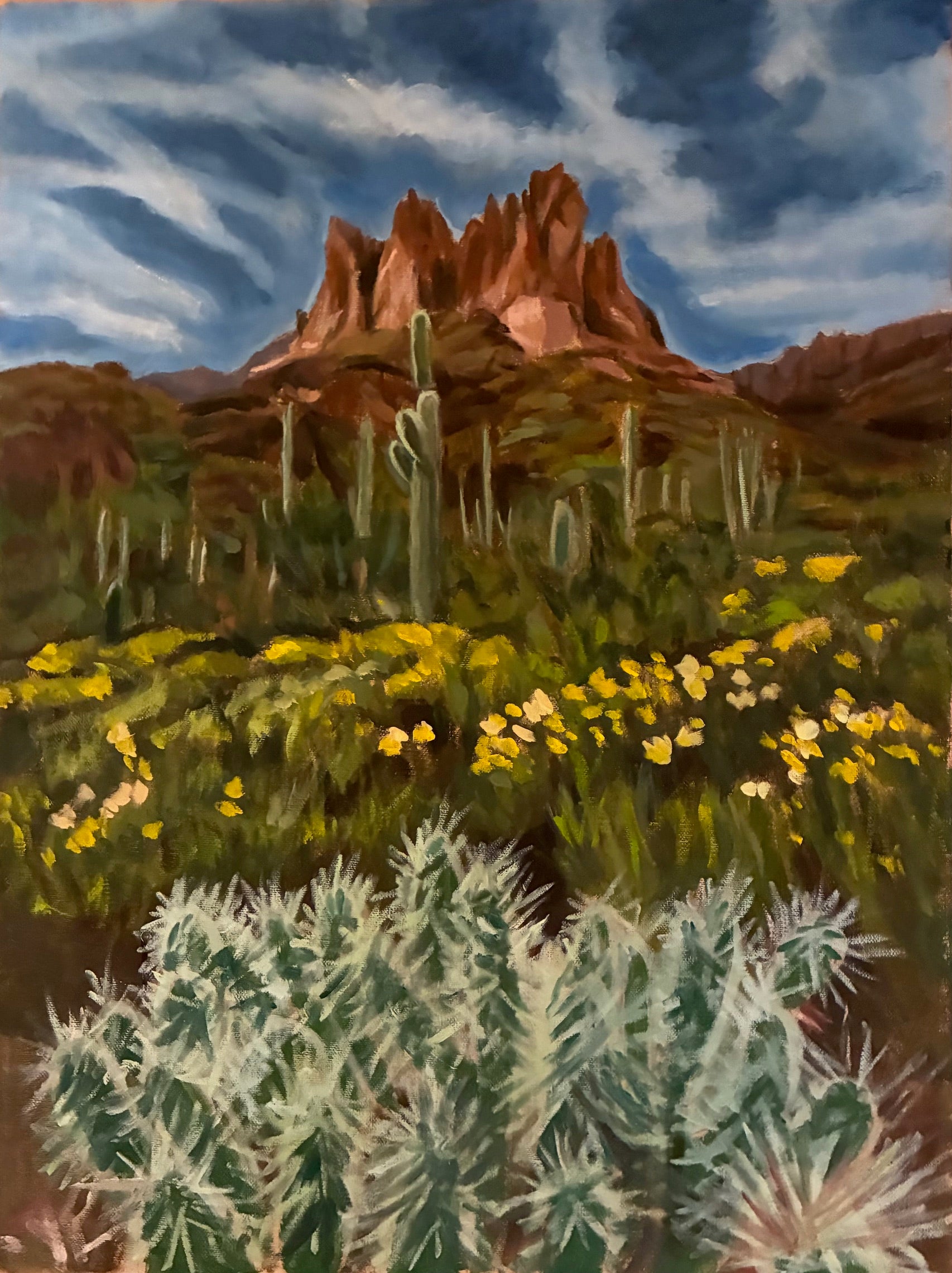 Desert in Bloom