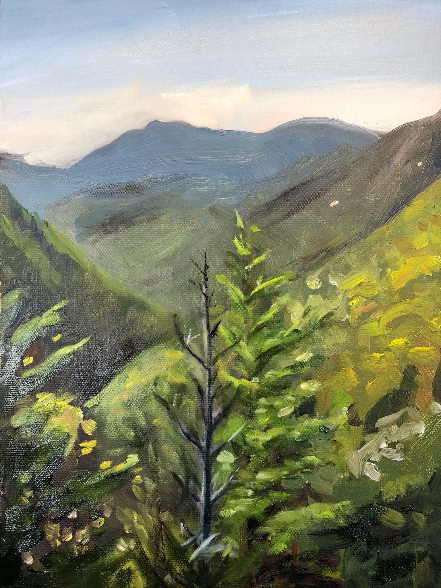 Crawford Notch