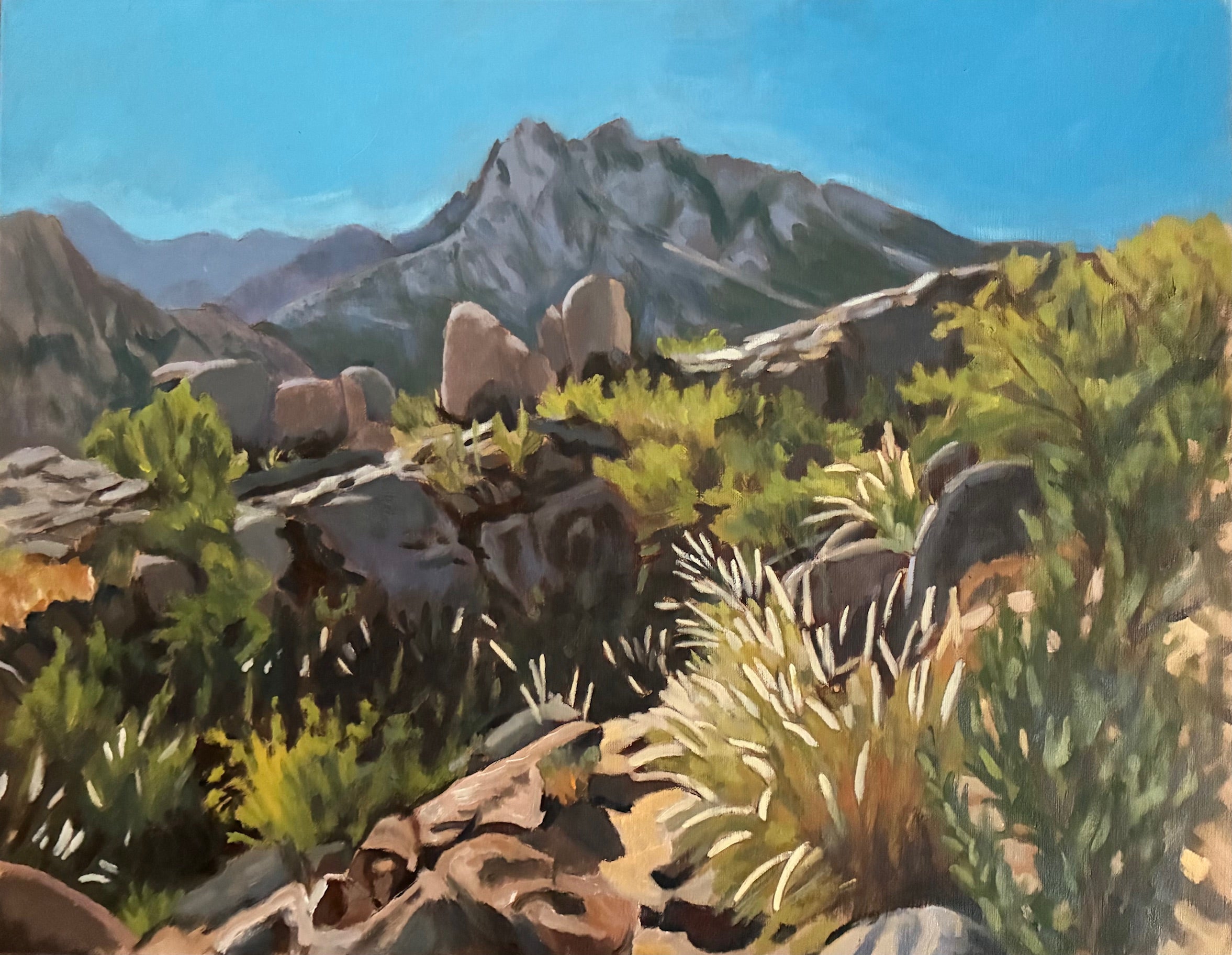 Afternoon in the Desert