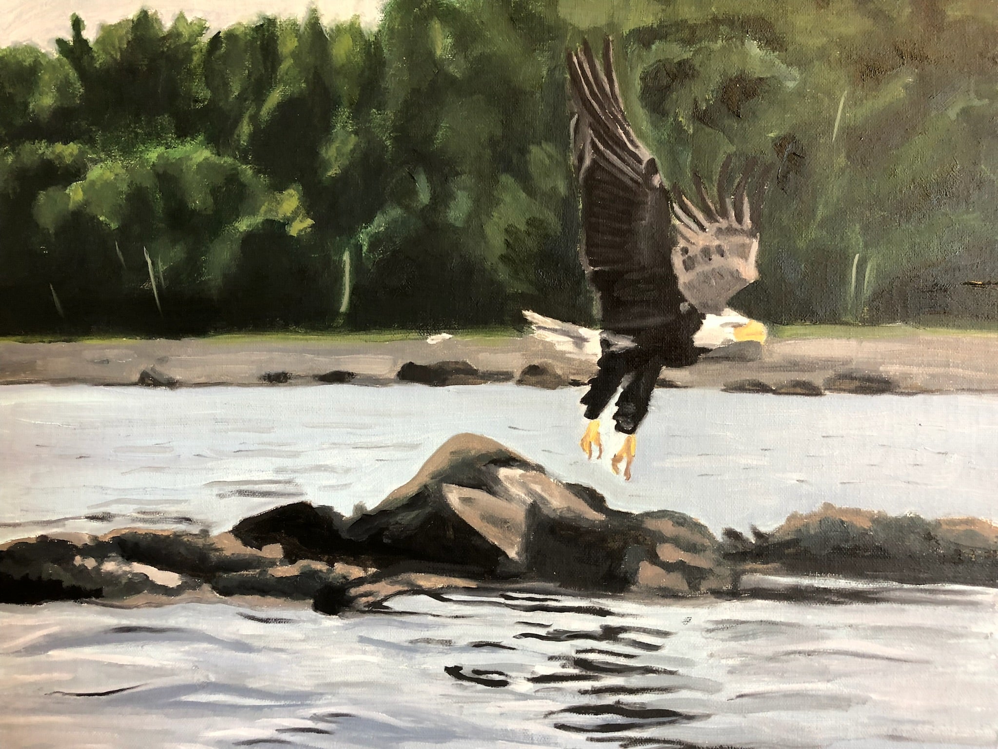 Eagle Takes Off