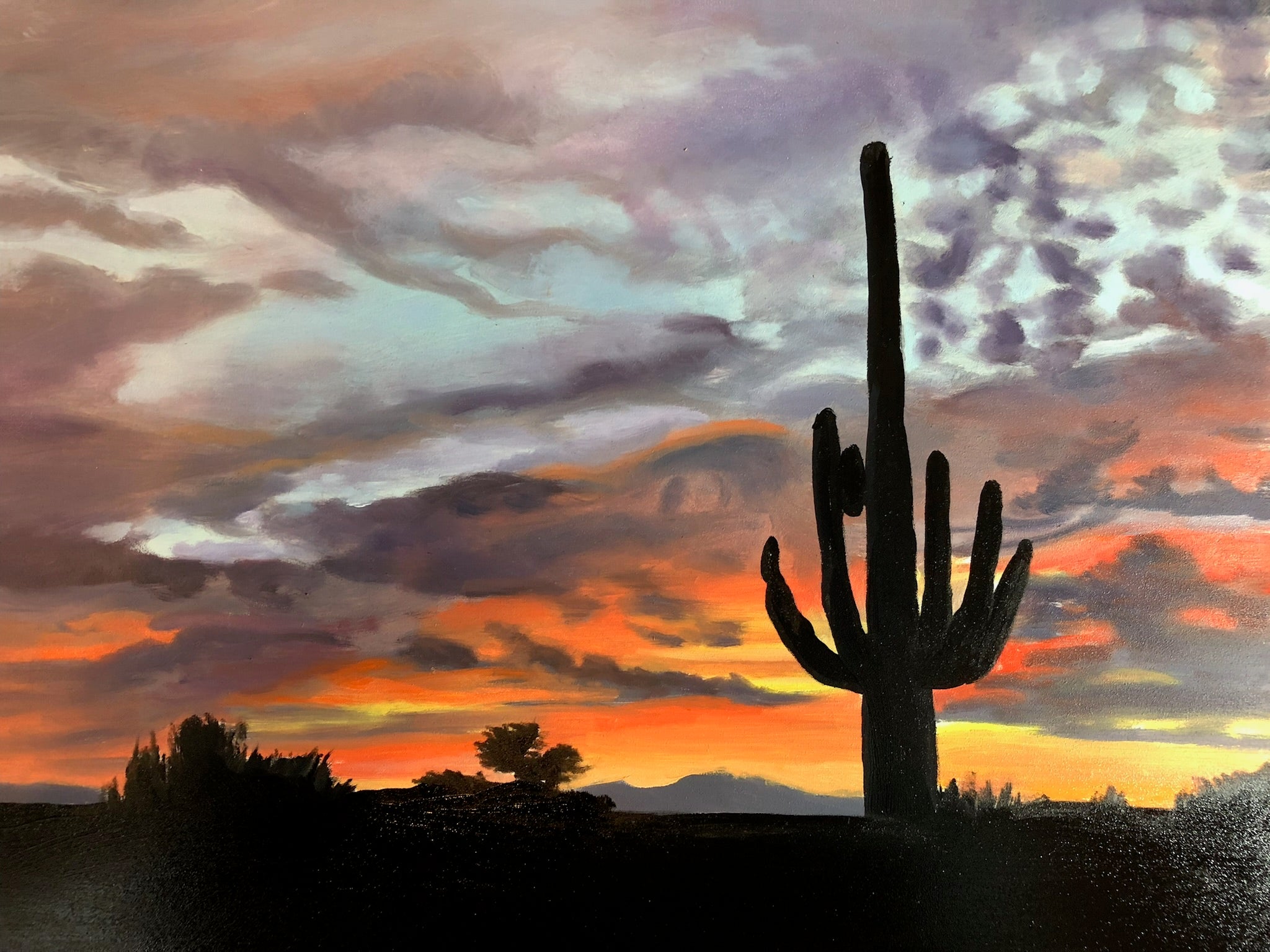 Arizona Sunset