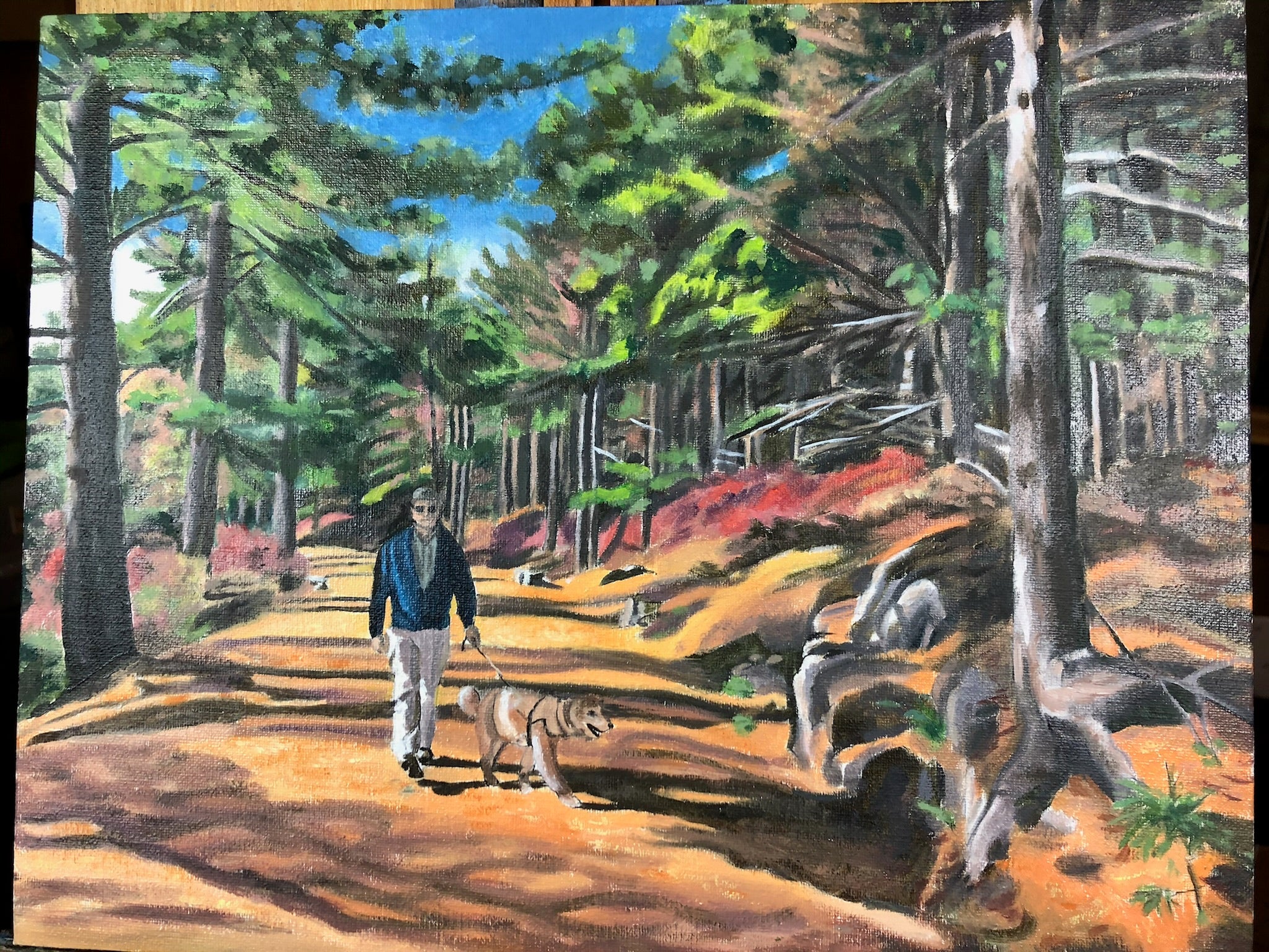 Walking the Dog on Witch Hole