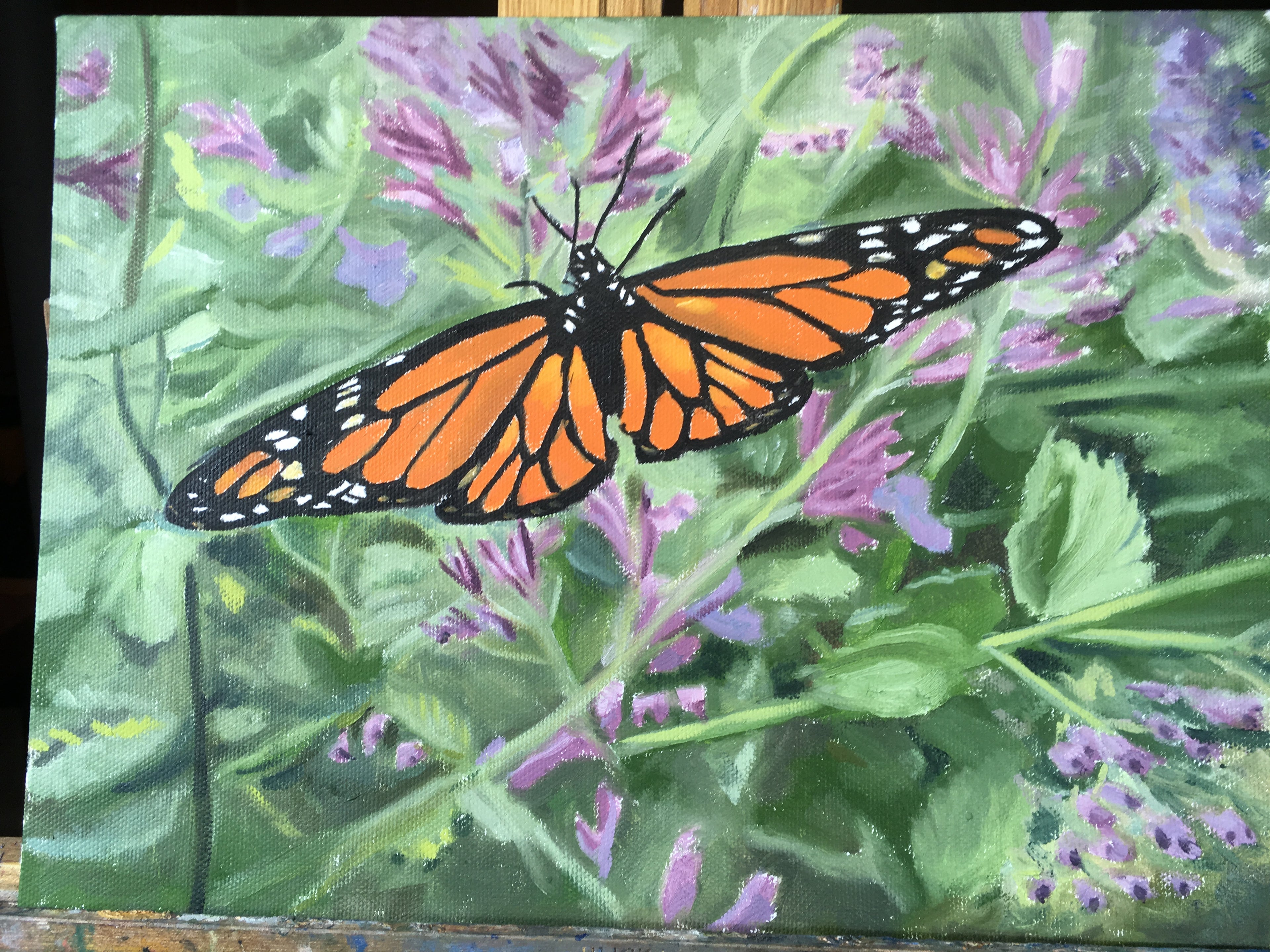Monarch and Milkweed