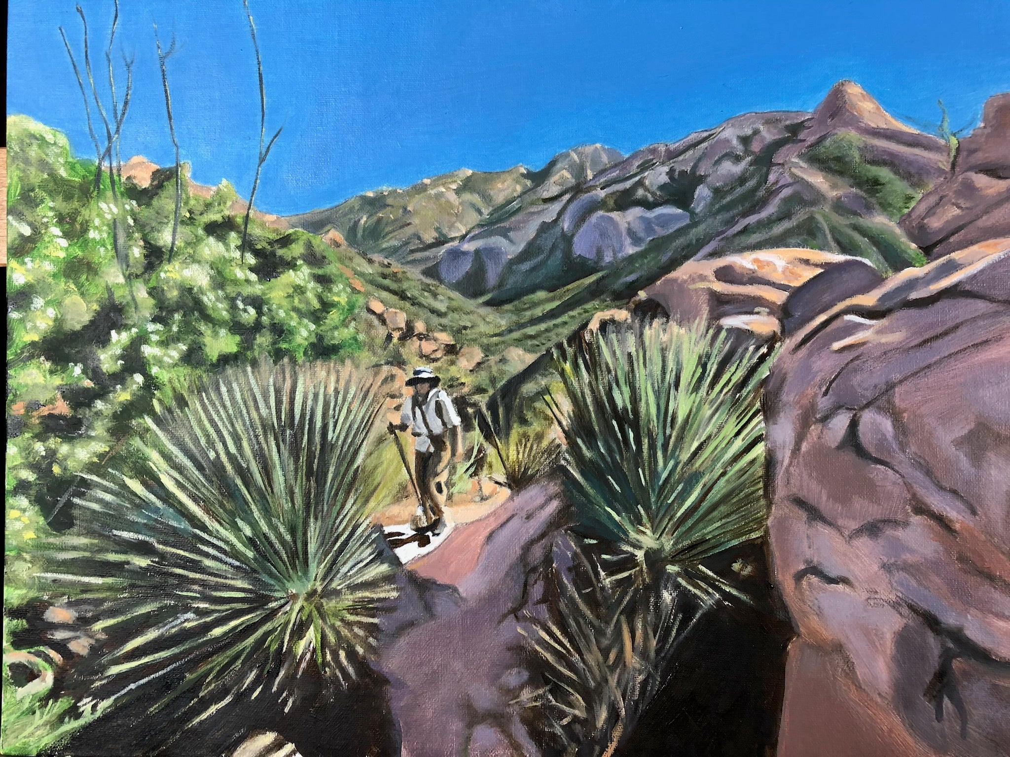Hiking Pima Canyon
