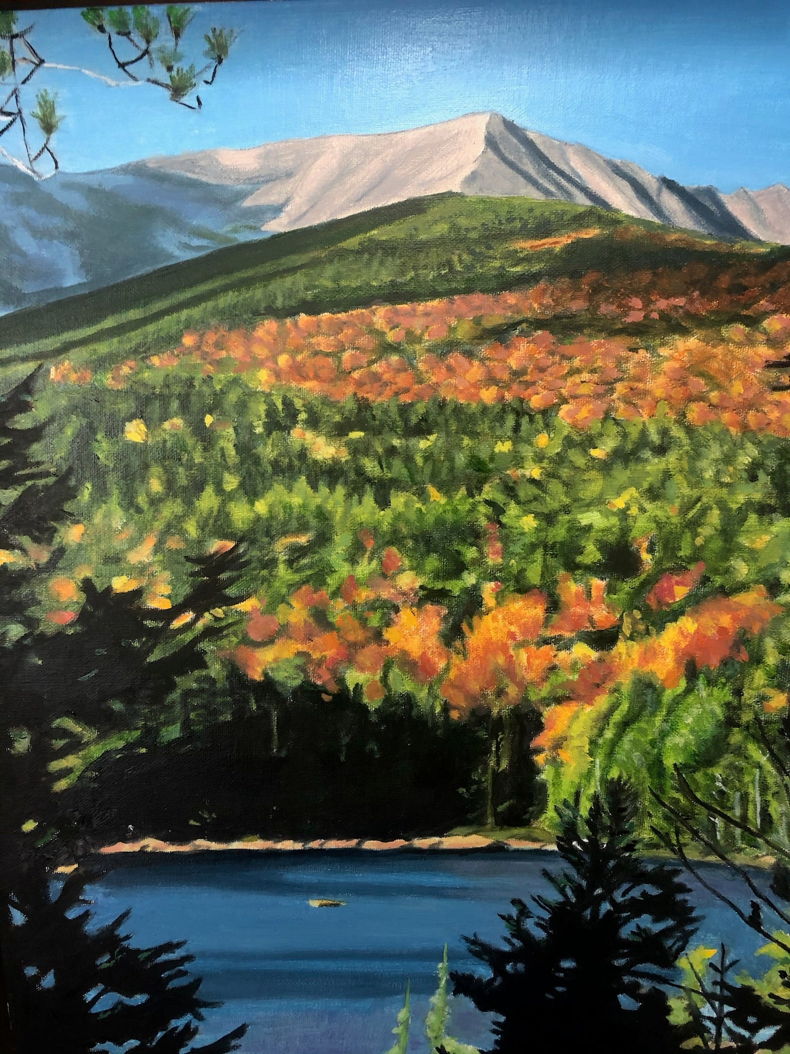 Baxter in the Fall
