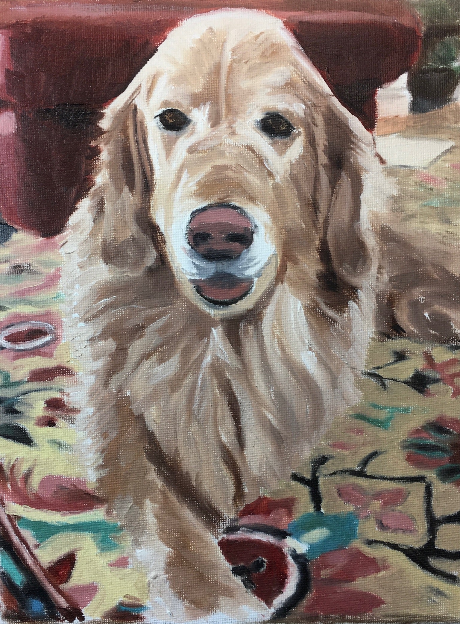 Dog on Another Rug