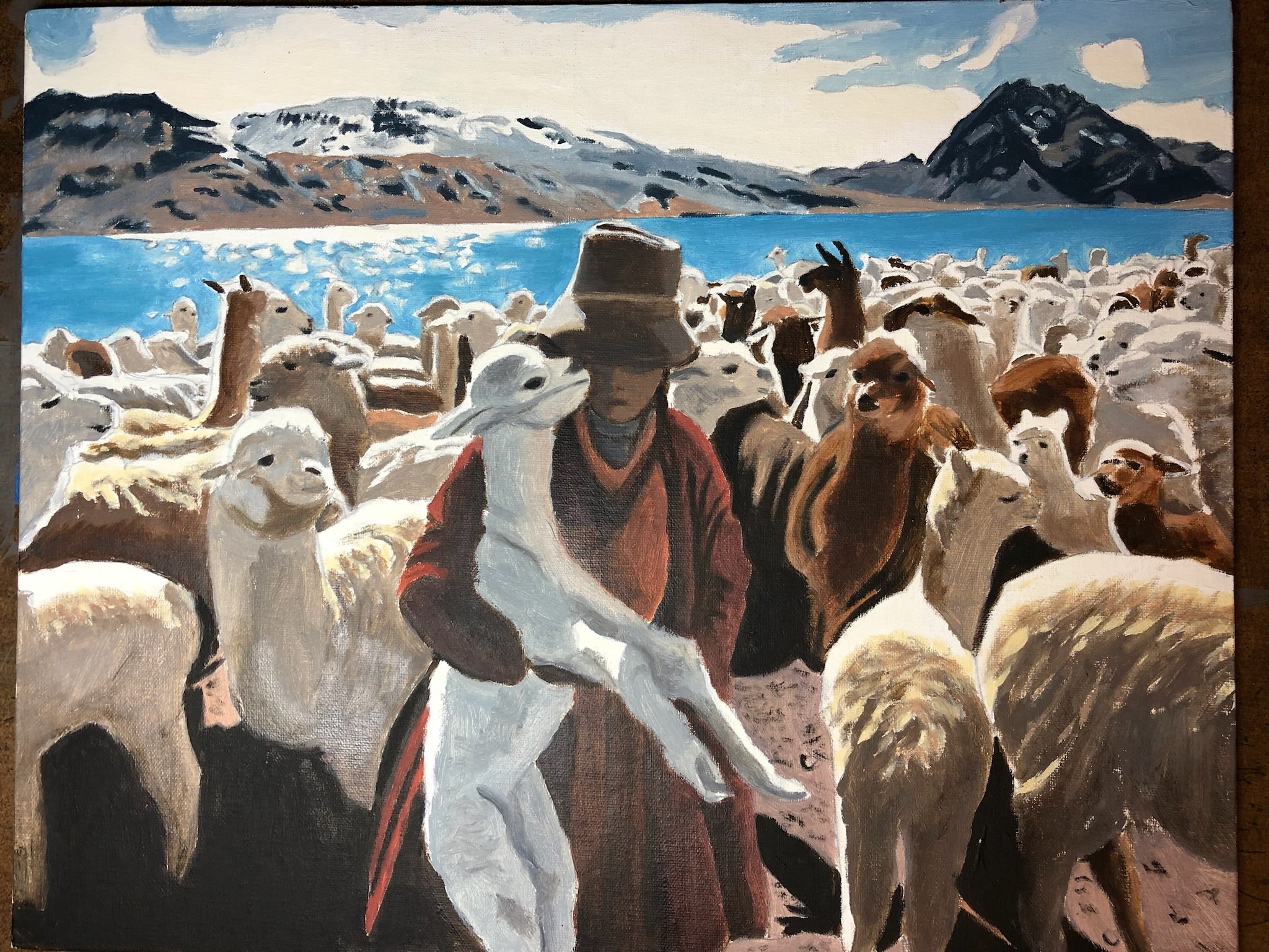 Alpaca Roundup