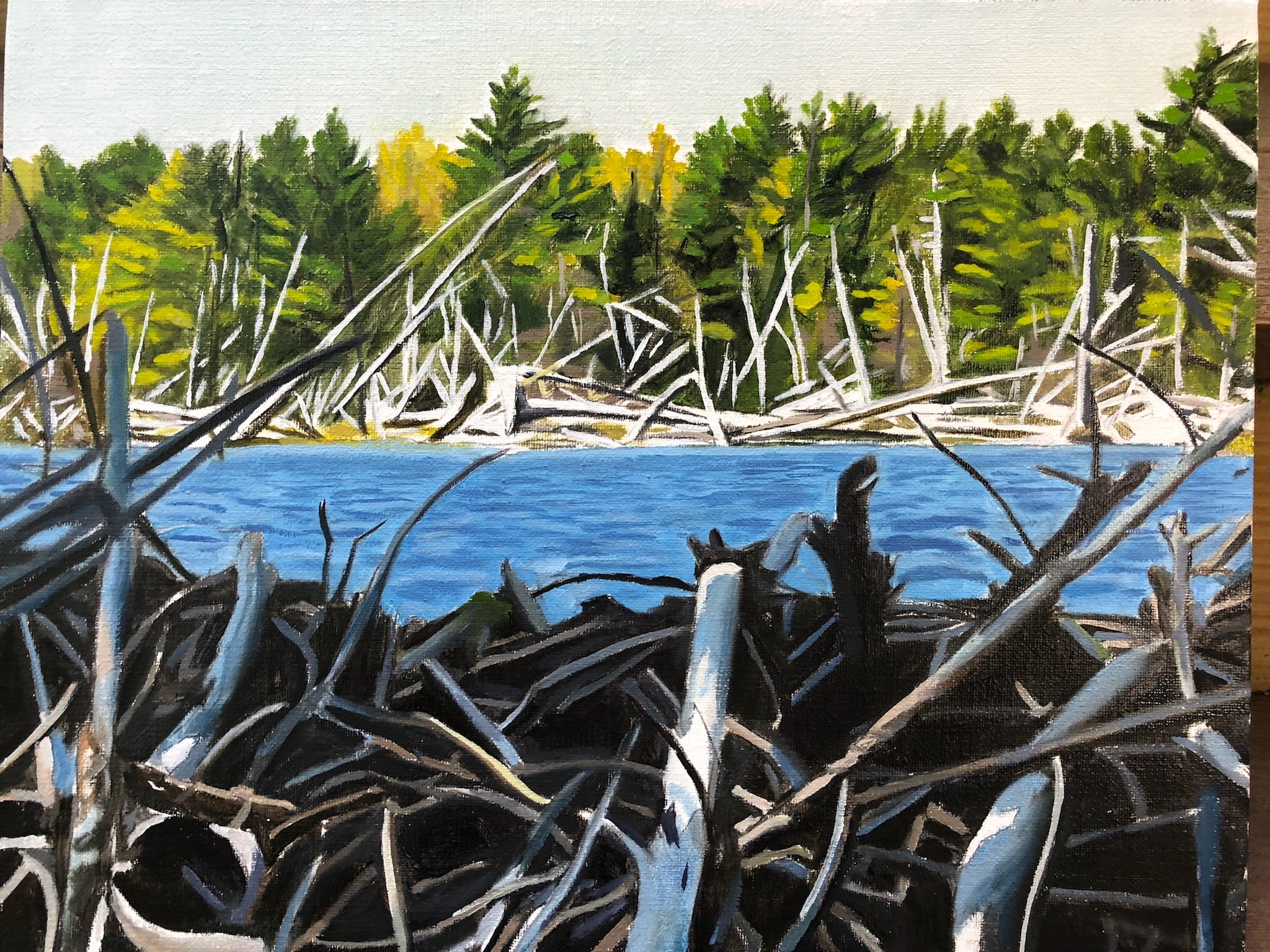 Beaver Dam