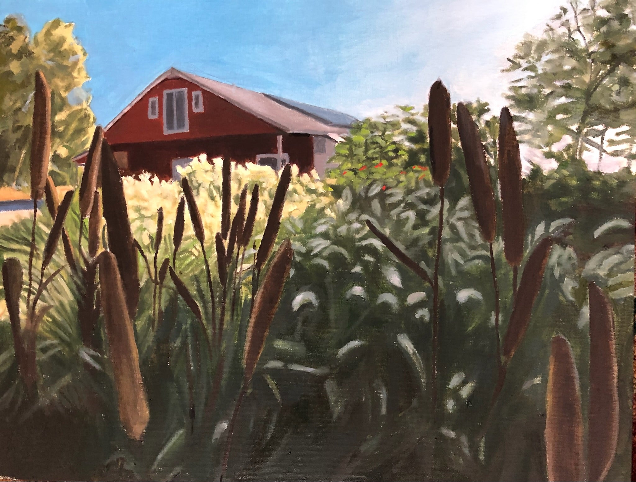 Afternoon at the Farm
