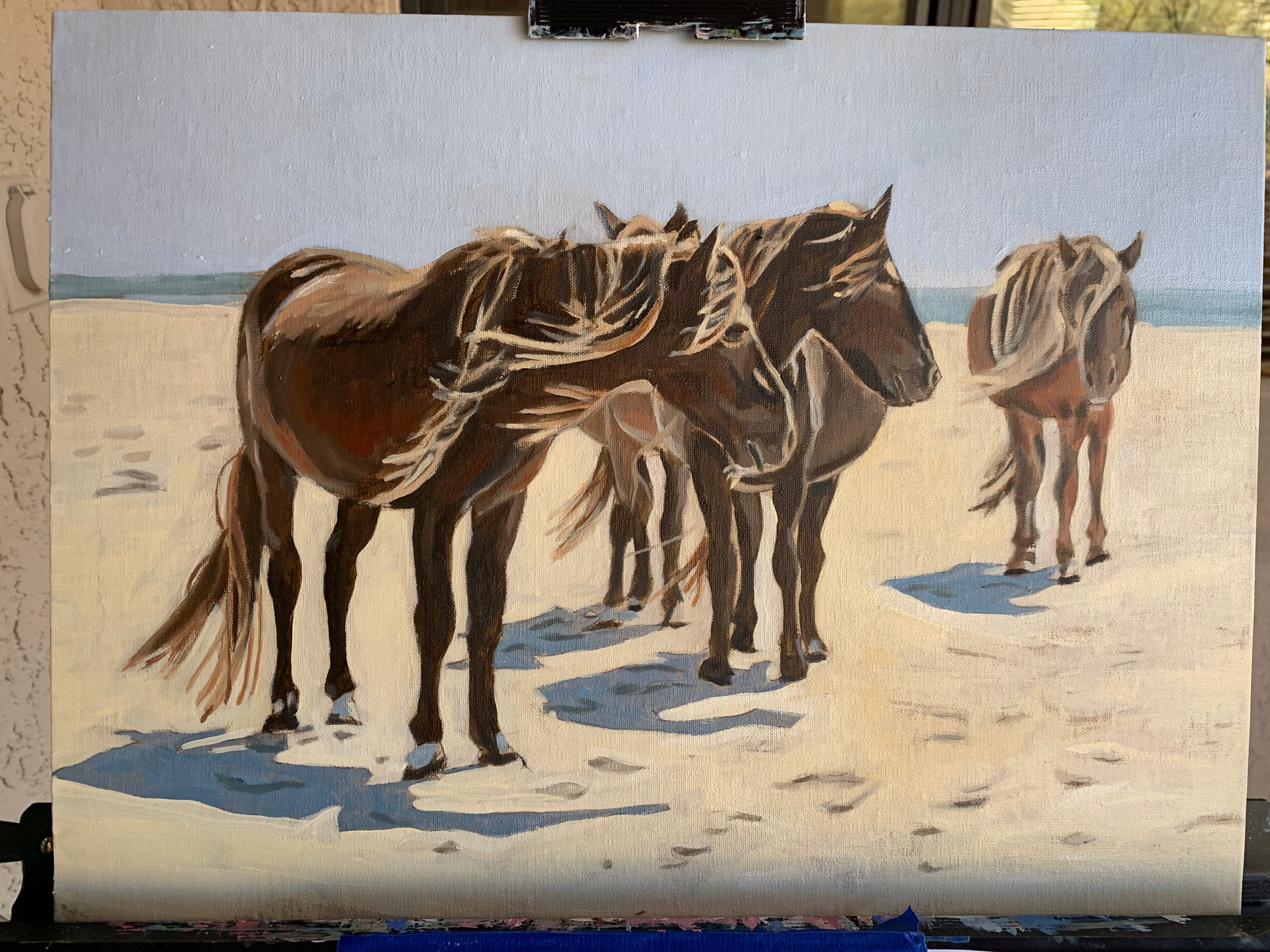 Ponies on Chincateague