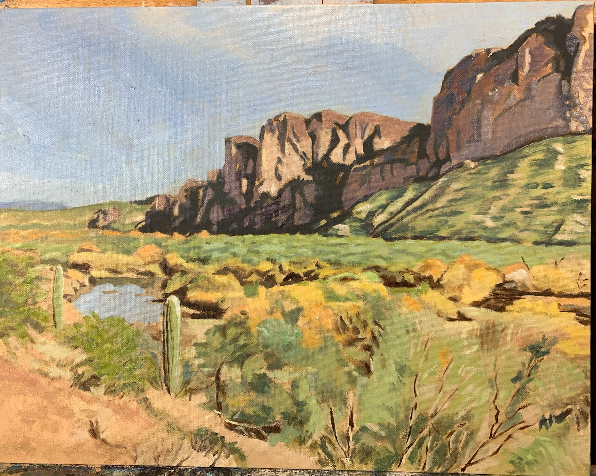 Tonto National Forest