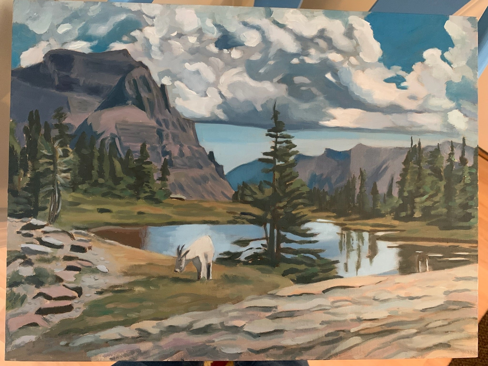 Rocky Mountain Goat