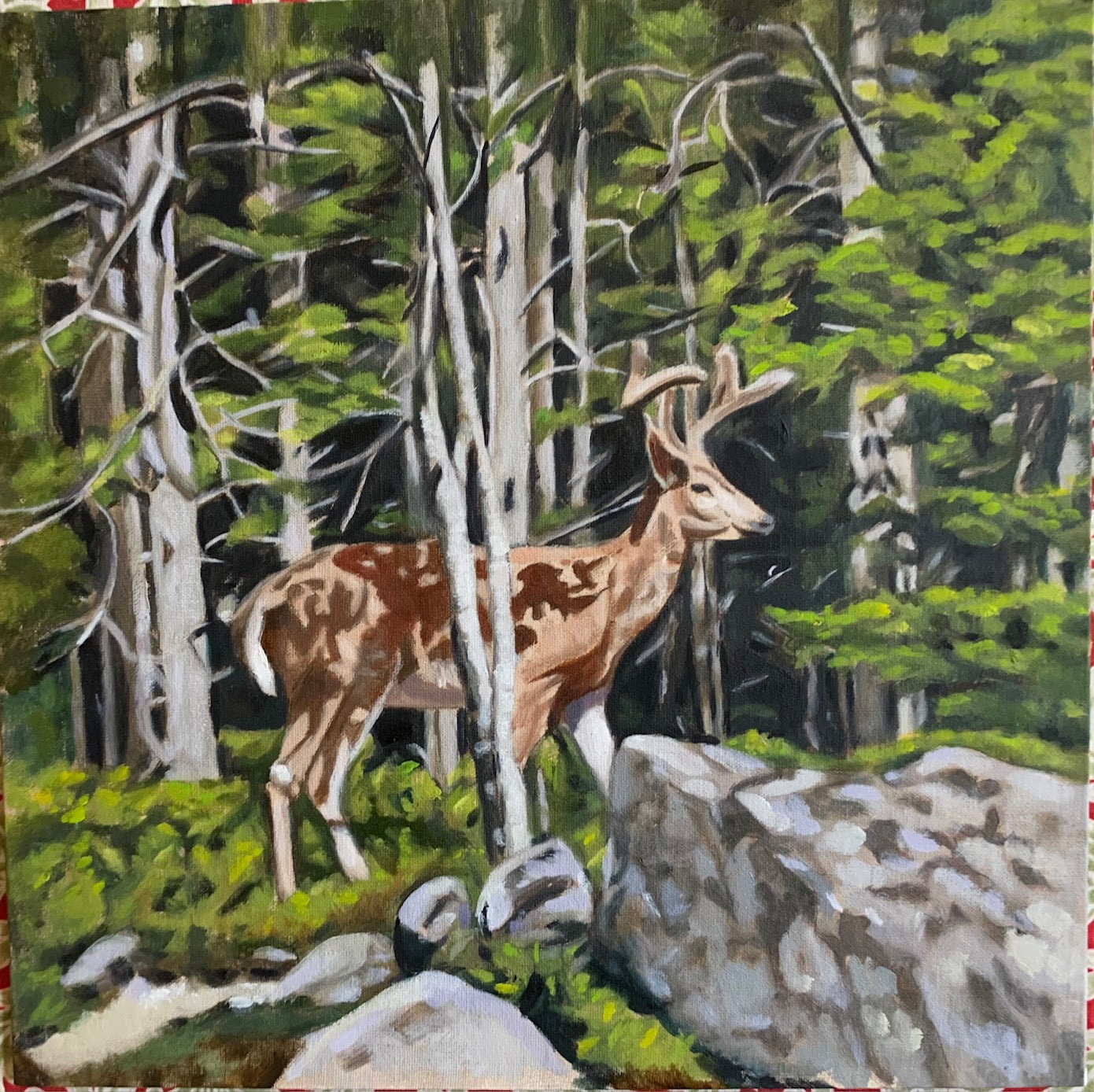 Same Deer, Different Woods