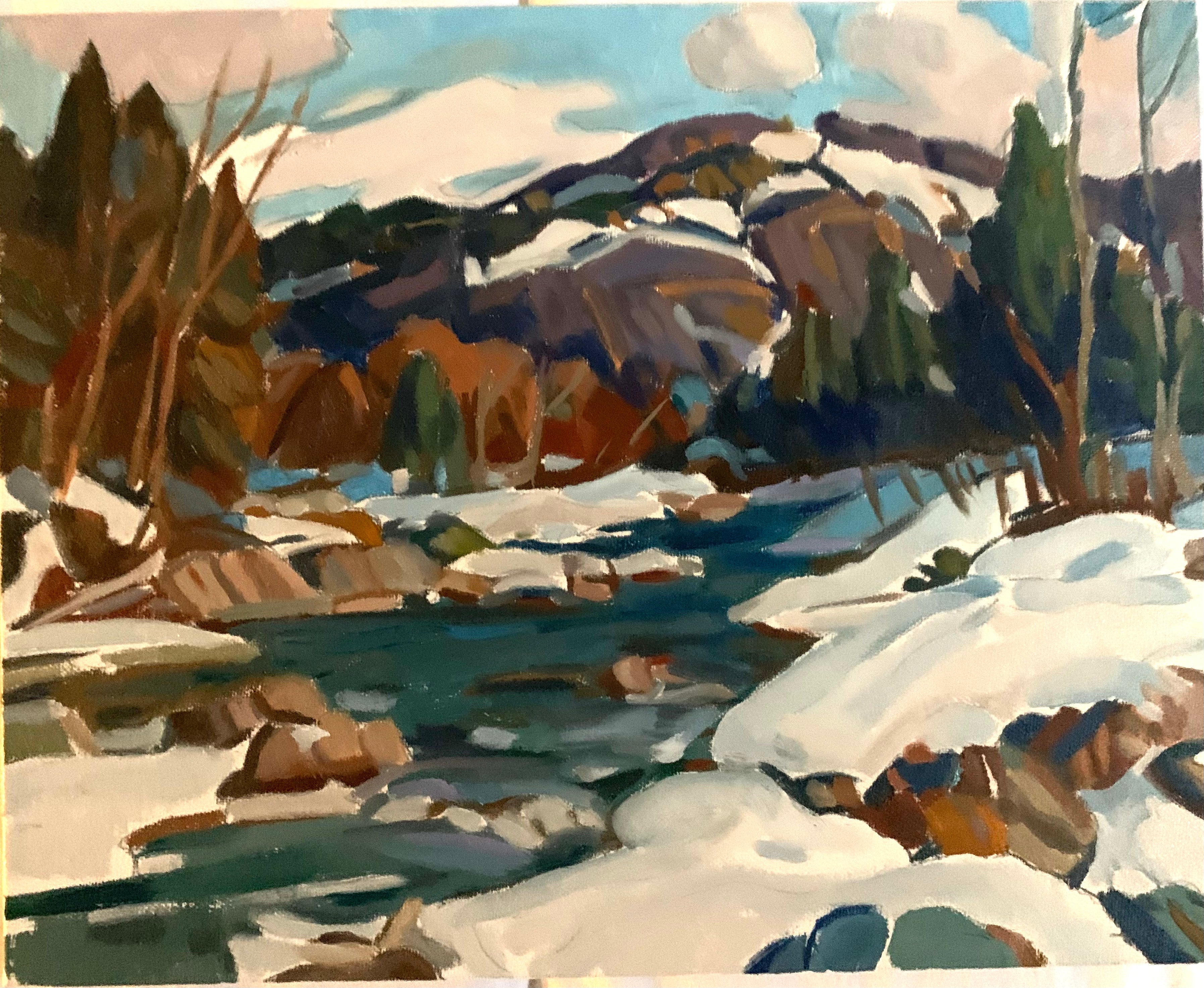 Study of Vermont Snowscape