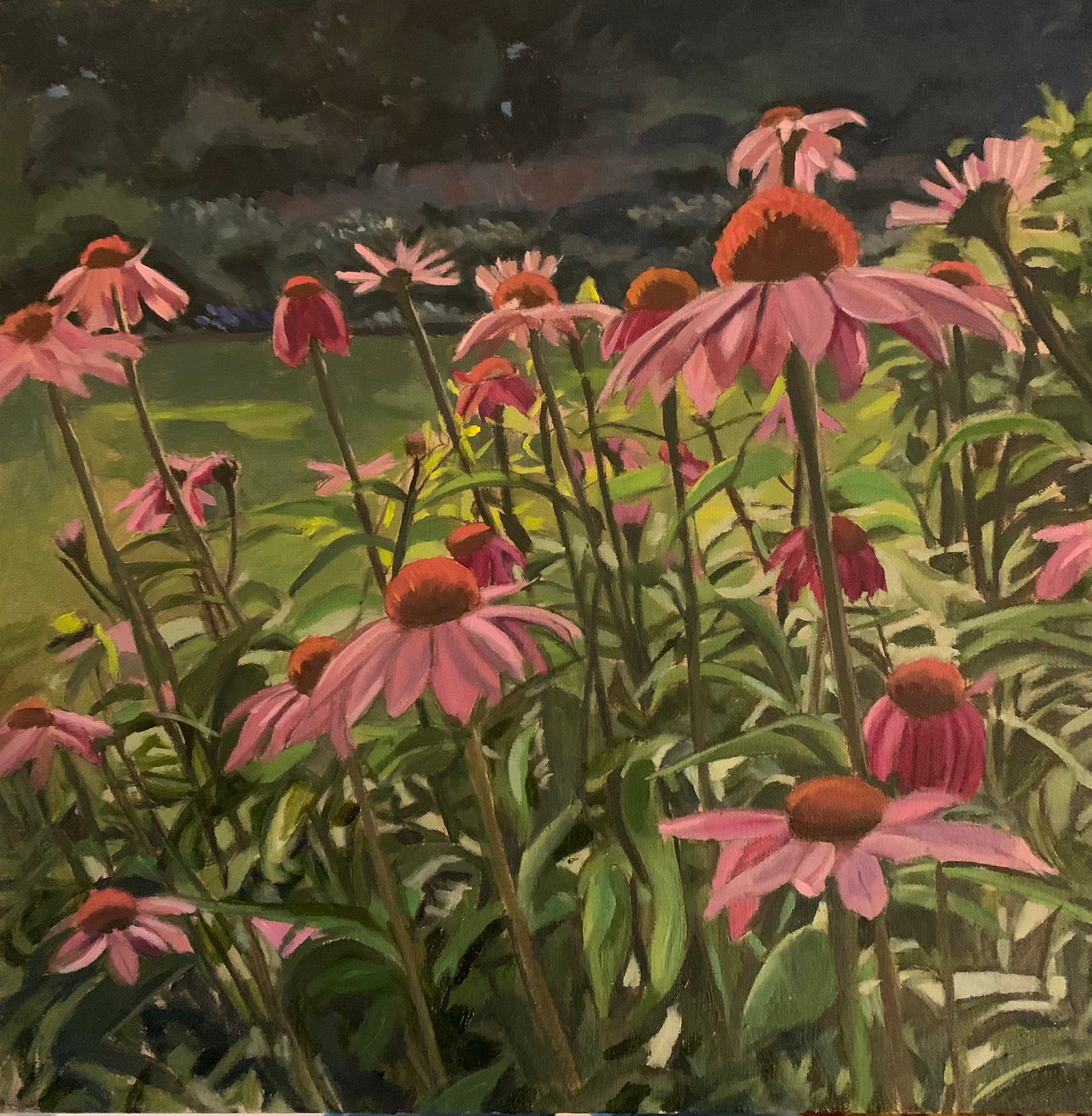 Cone Flowers